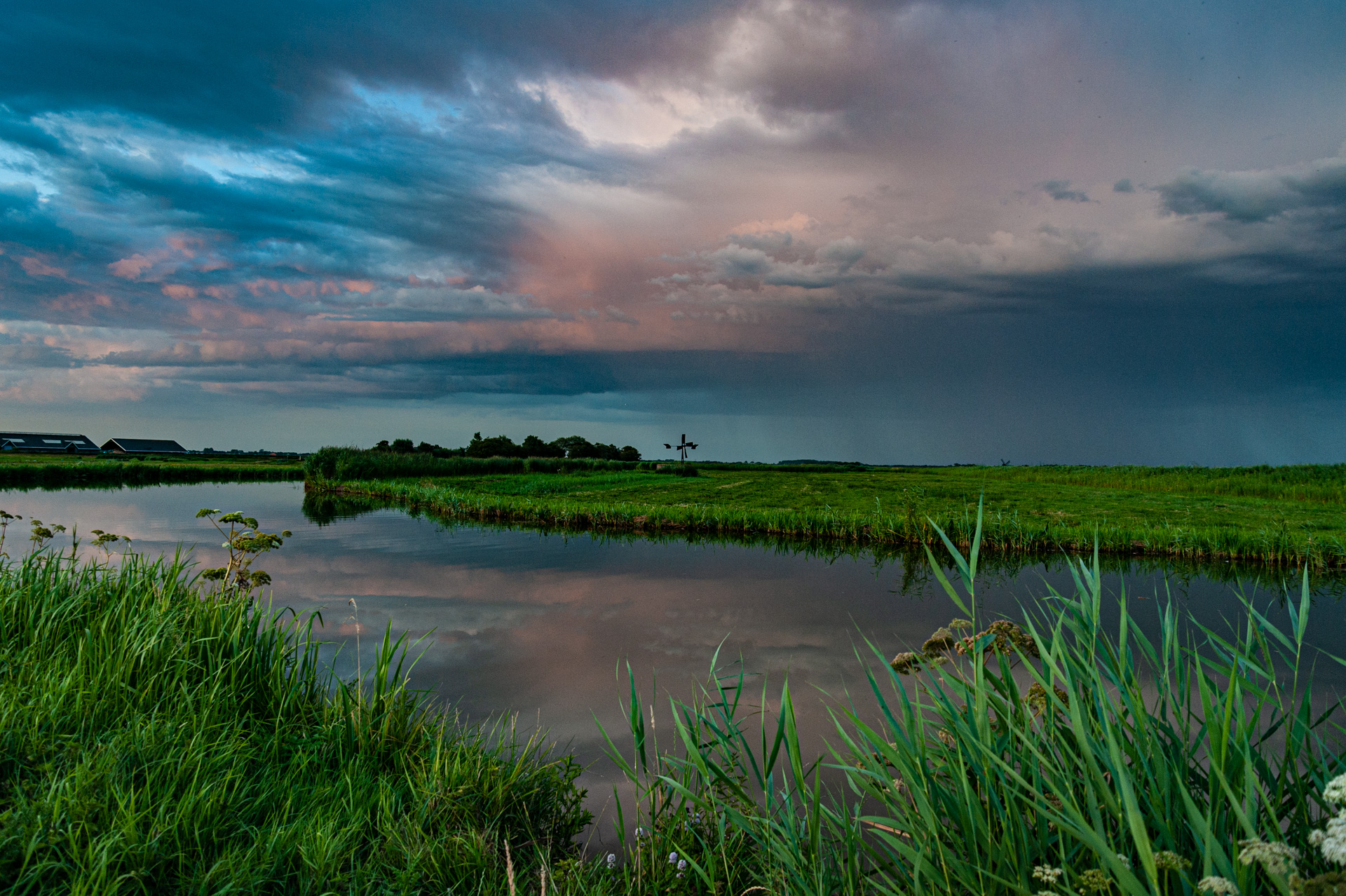 wormerveld landschap-2514.jpg